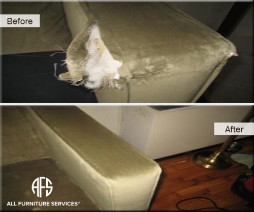 Animal-dog-damage-upholstery-furniture